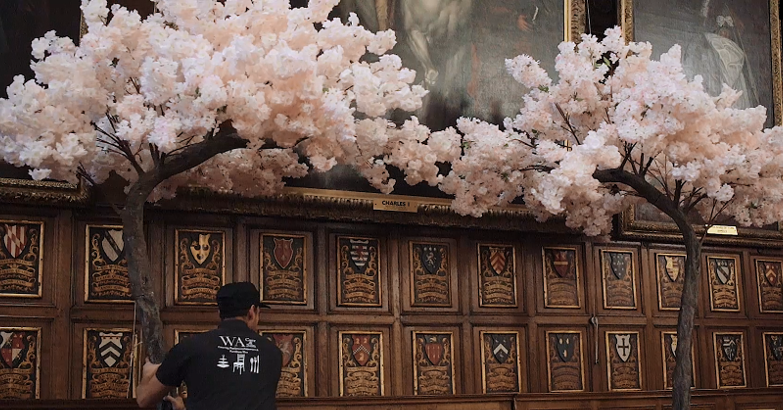 Overhanging-blossom-tree-Hire-2-1 Overhanging-blossom-tree-Hire-2-1