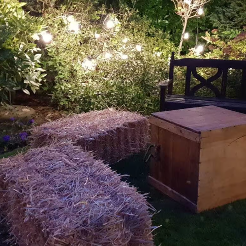 Untitled design (5)-1